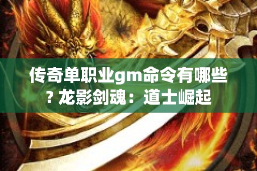 传奇单职业gm命令有哪些? 龙影剑魂：道士崛起