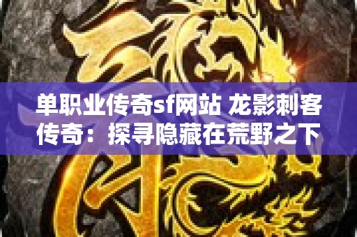 单职业传奇sf网站 龙影刺客传奇：探寻隐藏在荒野之下的神秘宝藏